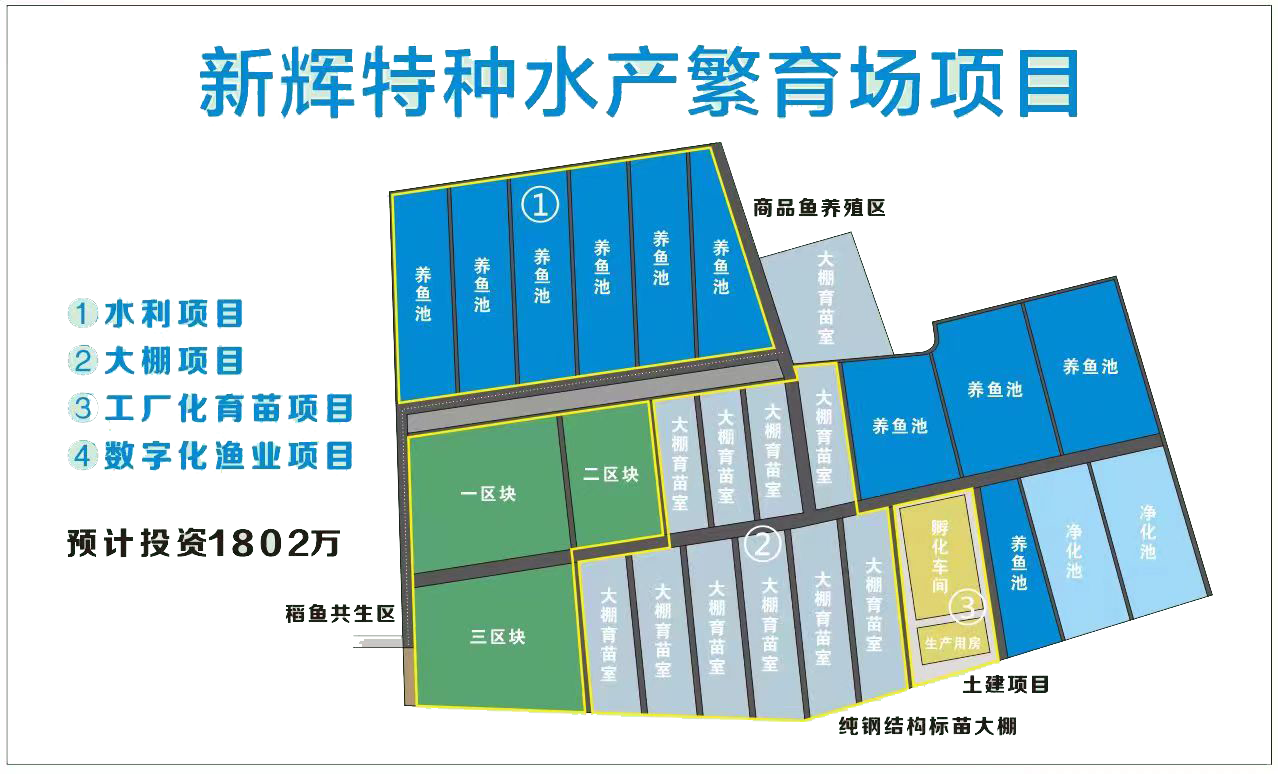 中间图片